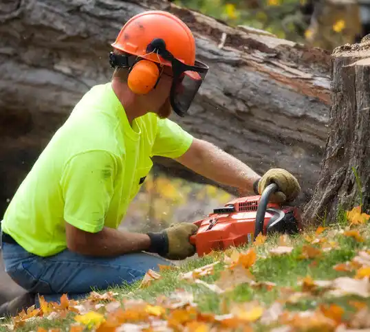 tree services Fremont